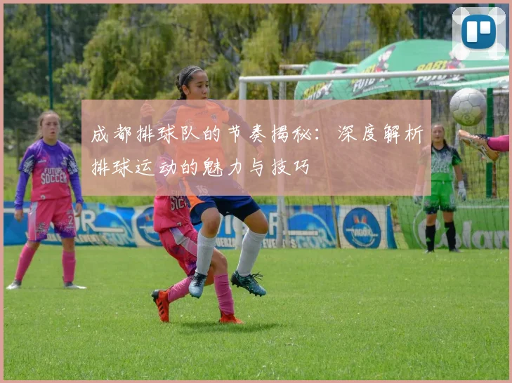 成都排球队的节奏揭秘：深度解析排球运动的魅力与技巧